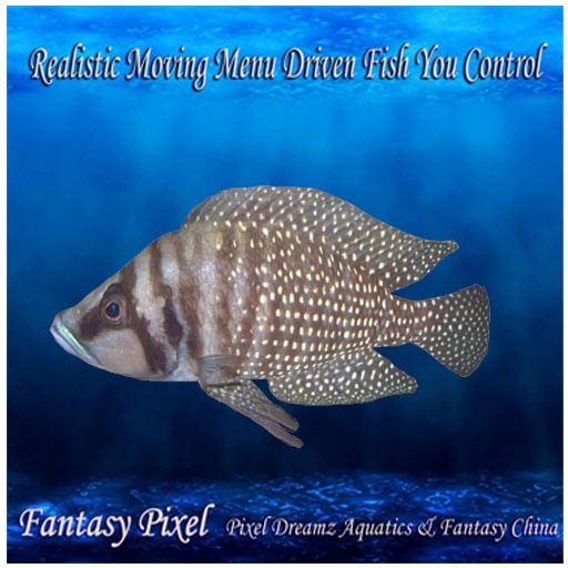 Realistic Moving Menu Driven Fish YOU CONTROL - Recording fish 43