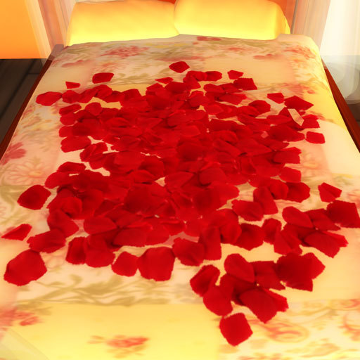 Scattered rose petals