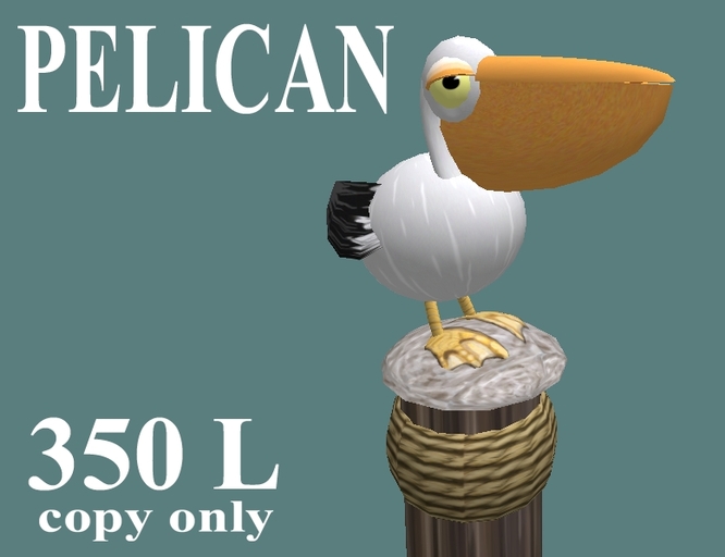 Pelican