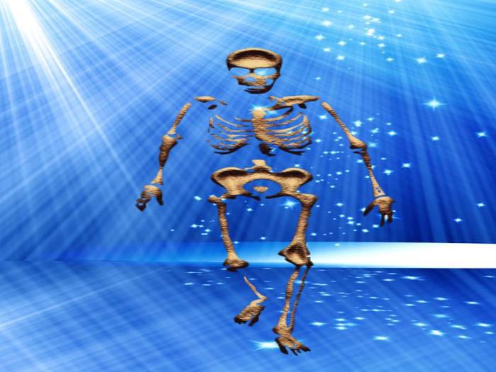 Walking Skeleton