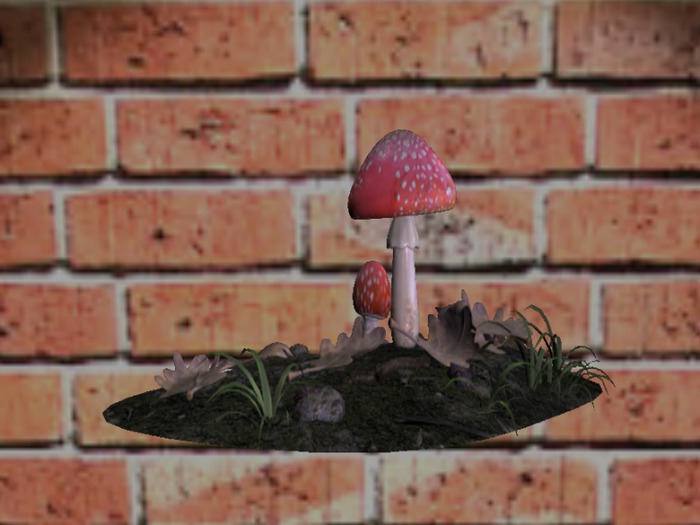 Wild Red Mushroom 2