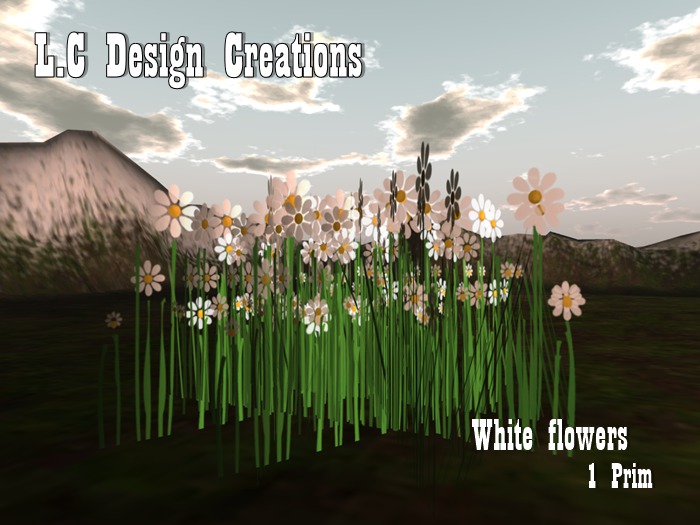.:*L.C*:. White Flowers