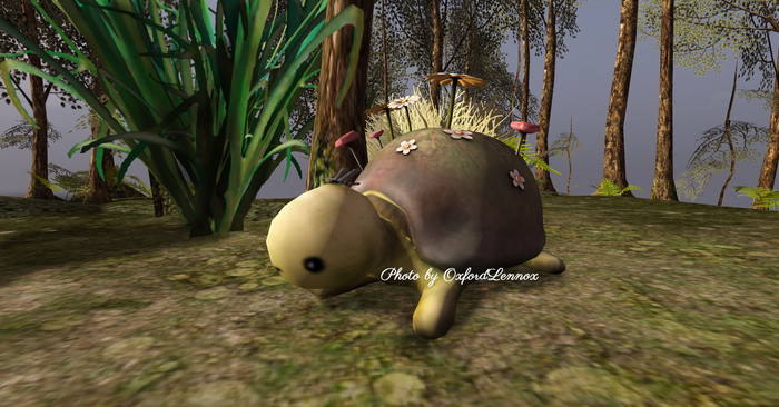 +Half-Deer+ Spring Eternal - Gardener Tortoise (rez) SECRET