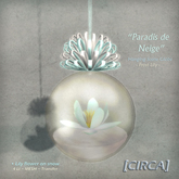 [C.] Pkg - Paradis de Neige - Hanging Scene Globe -Winter Robin