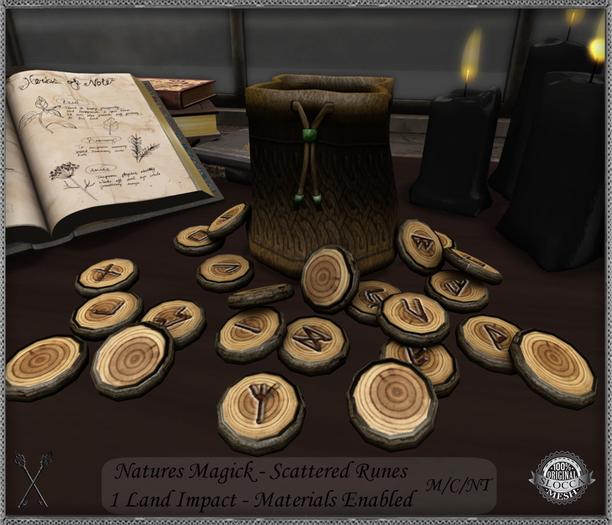 ~*S.E.*~ Nature Magick - Scattered Runes & Bag