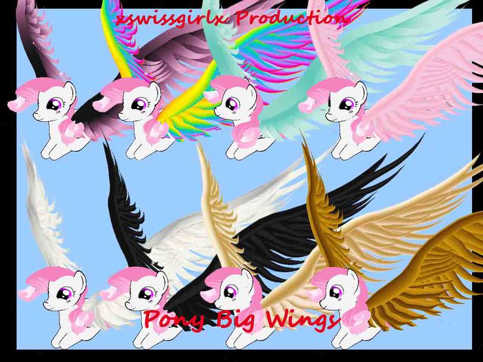 Pony Big Wings