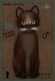 C0328 B7T Abyssinian - Dark Chocolate NORMAL
