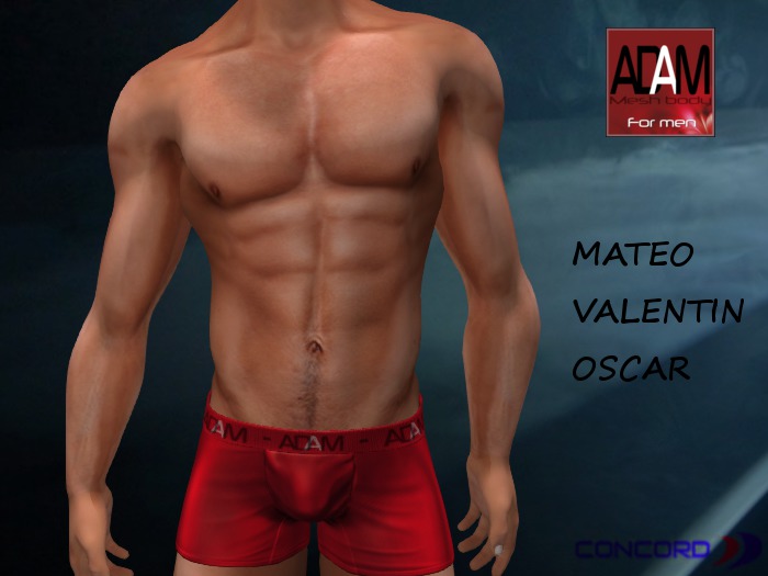 ::::CONCORD:::: Adam Mesh Body Applier HUD 4