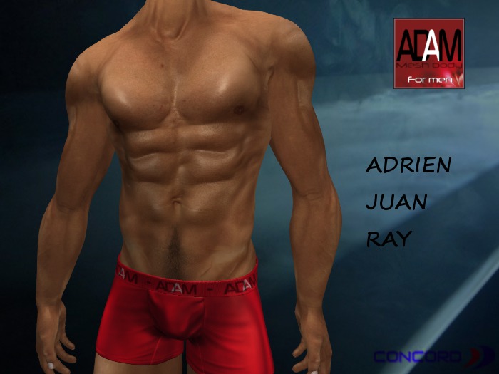 ::::CONCORD:::: Adam Mesh Body Applier HUD 9