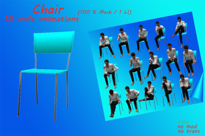 Multi-Purpose Chair - turquois (Male Version)