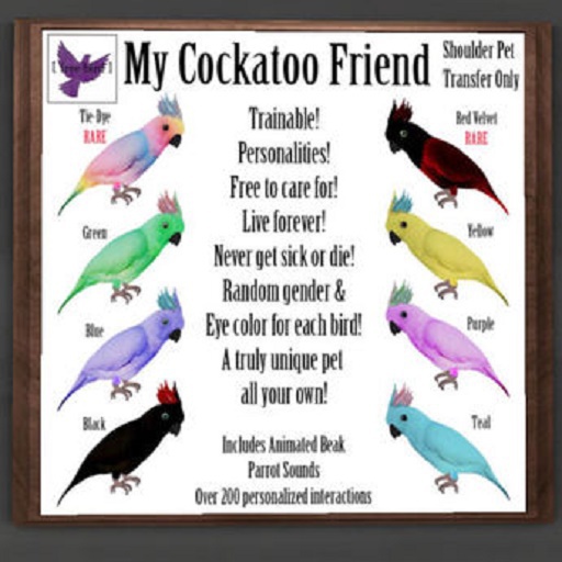 [ free bird ] My Cockatoo Friend - Blue (boxed)