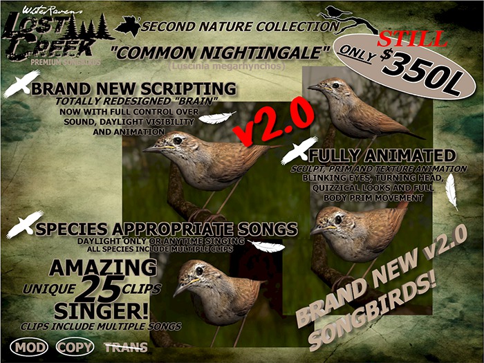 Lost Creek Nightingale V2.0