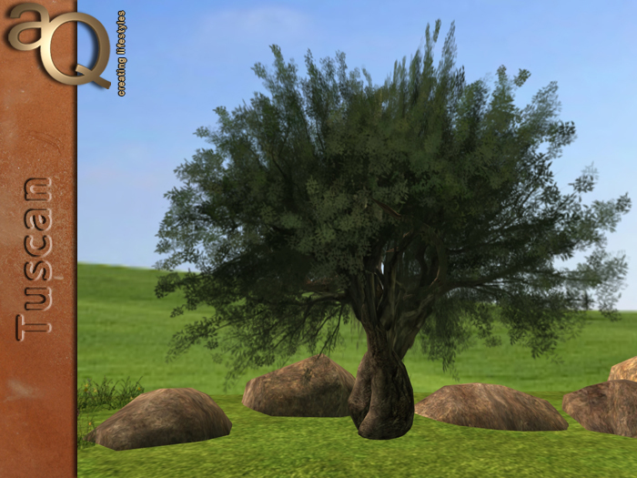 aQ Olive Tree 1 - COPY VERSION