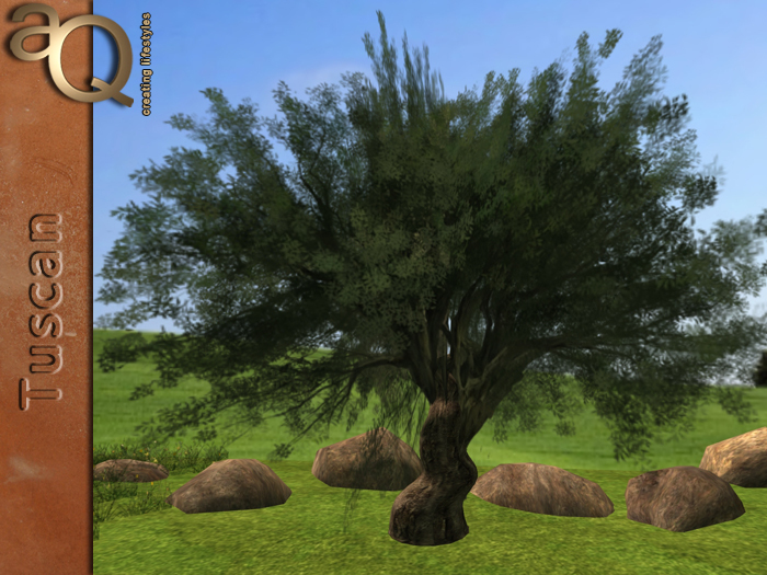 aQ Olive Tree 4 - COPY VERSION