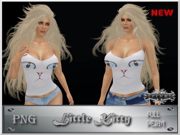 **By Spinks**::Little Kitty:: //Full pern PNG//