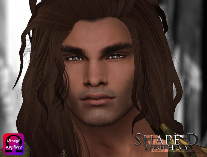 -Labyrinth- Shape D Mesh Head (Omega Ready)
