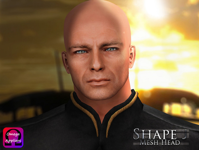 -Labyrinth- Shape J Mesh Head (Omega Ready)