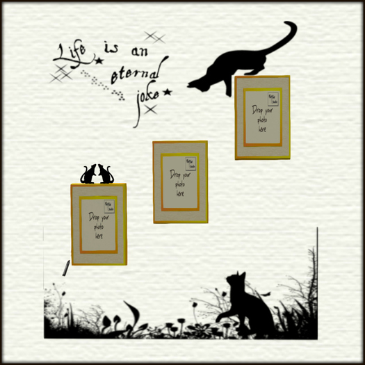 .: OwlCat Studio - Cats & Play