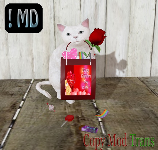 !MD - Valentine's Day CAT White TRANS