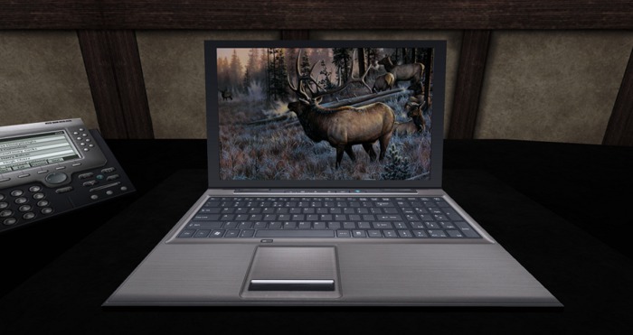 LAPTOP COMPUTER PAINTED WILDLIFE