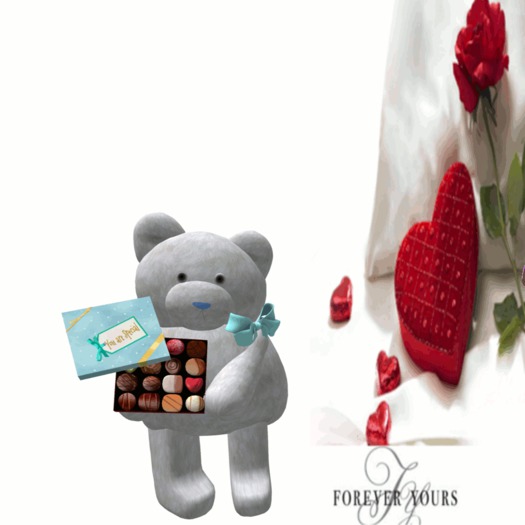 you are special teddy