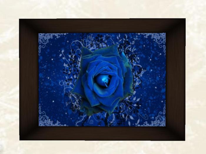 Blue Velvet Rose
