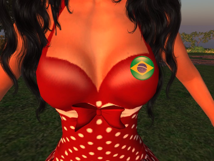 Brasil emblem