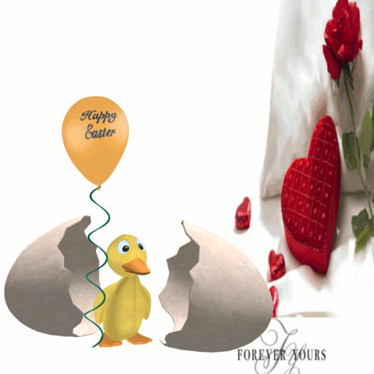 EASTER DUCK GIFT