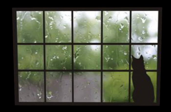 Cat_Rain_Window - (Animated) w/music