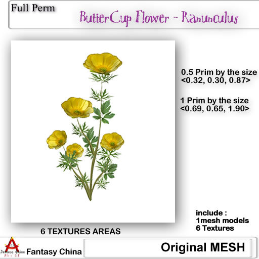 Full Perm ButterCup Flower - Ranunculus