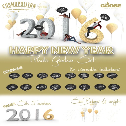 GOOSE - happy 2016