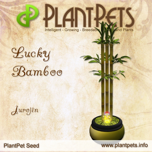 PlantPet Seed [Lucky Bamboo *Jurojin*]
