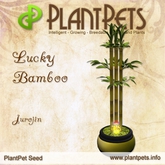PlantPet Seed [Lucky Bamboo *Jurojin*] rare Release Day 14.06.2014