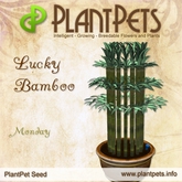 PlantPet Seed [Lucky Bamboo *Monday*] common Release Day 14.06.2014