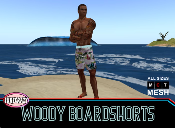 WOODY MESH BOARDSHORTS GREAT GIFT!