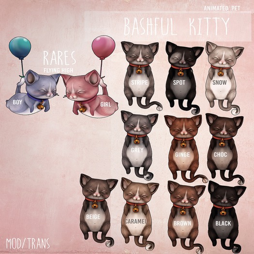 Birdy - Chibi Kitty - Brown [box]