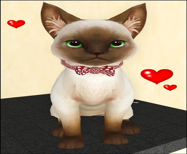 Mesh Siamese Kitty sitting v2 texture change bow