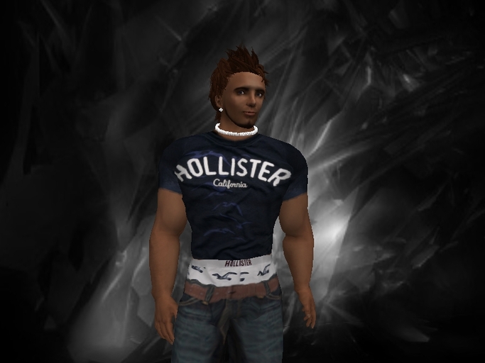 BRO: LogoTee(Seagal)