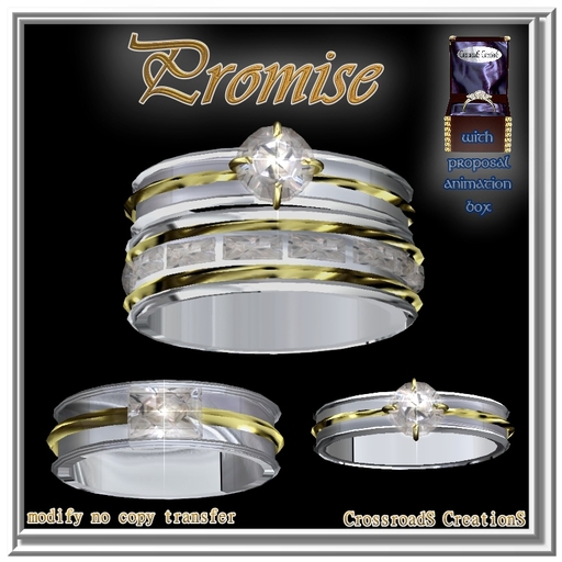 Promise Wedding Ring/Rings Set