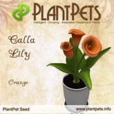 PlantPet Seed [Calla Lily *Orange*] rare Release Day 21.12.2013