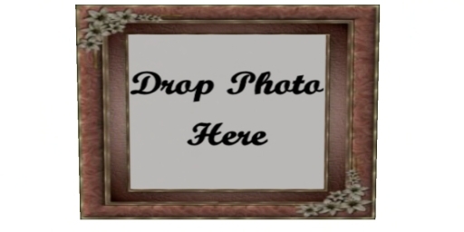 Antique Daisy Frame-Drop Picture
