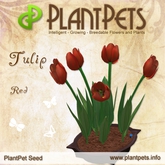 PlantPet Seed [Tulip *Red*] common Release Day 29.06.2015