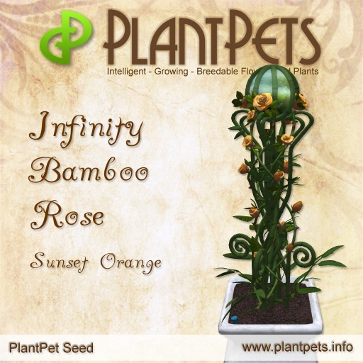 PlantPet Seed [Infinity Bamboo Rose *Sunset Orange*]