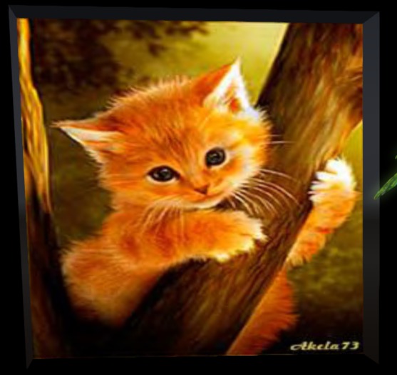 Kitten in Tree - (Animated) w/music