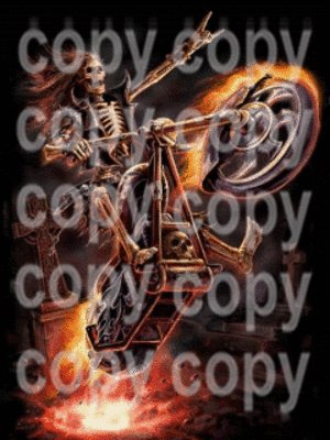 Animpic-Ghostrider