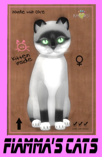 KittyCatS Box - Foxie - Salt & Pepper Mask