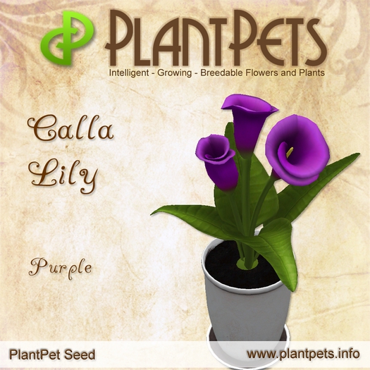 PlantPet Seed [Calla Lily *Purple*] common Release Day 21.12.2013