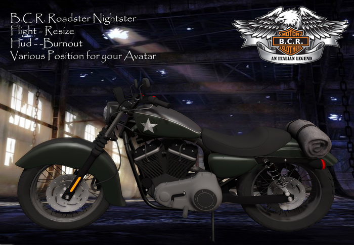 B.C.R. XL1200 Roadster Nightster