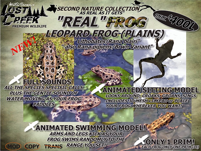 Lost Creek REAL Frog (Plains Leopard) Living Addition