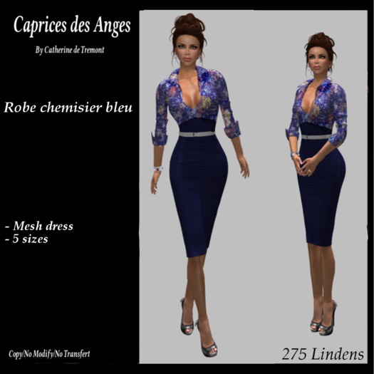 Robe chemisier bleu